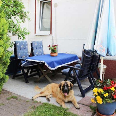 Isabell Daire Penzance Dış mekan fotoğraf